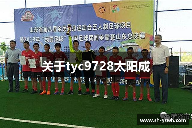關(guān)于tyc9728太阳成
